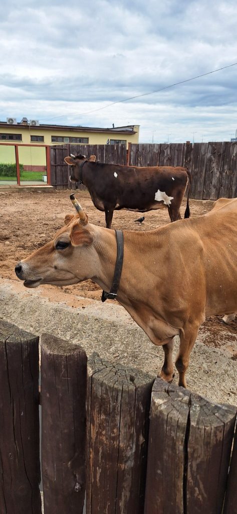 Минский зоопарк